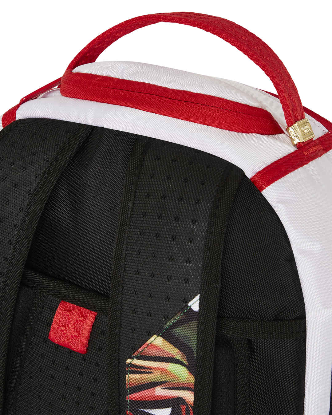 TMNT MUTANT MAYHEM RAPH DLXR BACKPACK
