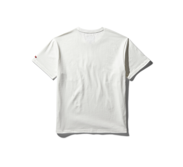 MONEY BEAR TSHIRT